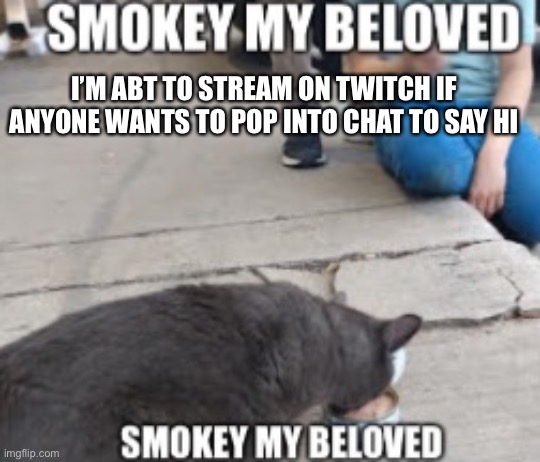 My channel is called cooperthehonu | I’M ABT TO STREAM ON TWITCH IF ANYONE WANTS TO POP INTO CHAT TO SAY HI | image tagged in smokey my beloved | made w/ Imgflip meme maker