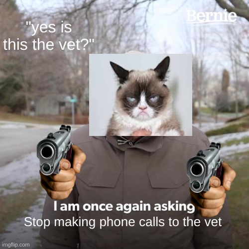 Bernie I Am Once Again Asking For Your Support | "yes is this the vet?"; Stop making phone calls to the vet | image tagged in memes,bernie i am once again asking for your support | made w/ Imgflip meme maker