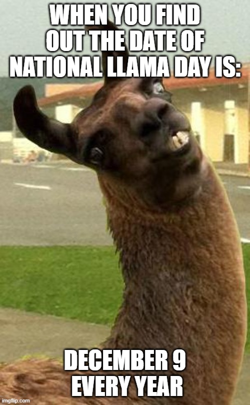 llama |  WHEN YOU FIND OUT THE DATE OF NATIONAL LLAMA DAY IS:; DECEMBER 9
 EVERY YEAR | image tagged in llama | made w/ Imgflip meme maker