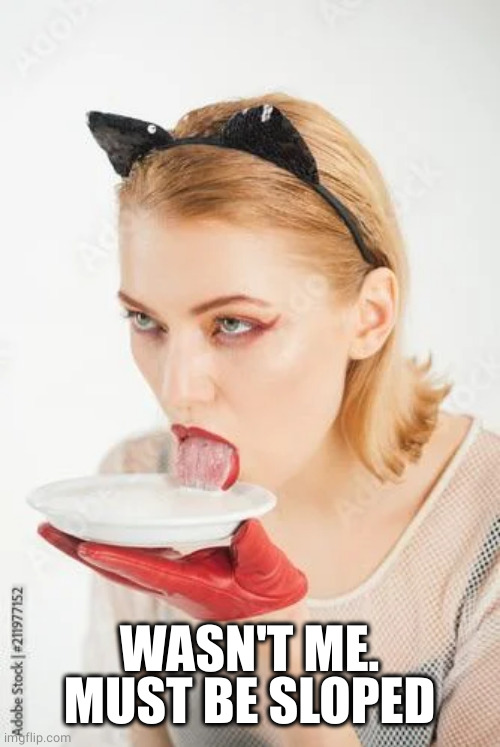 cat woman drinks milk | WASN'T ME. MUST BE SLOPED | image tagged in cat woman drinks milk | made w/ Imgflip meme maker