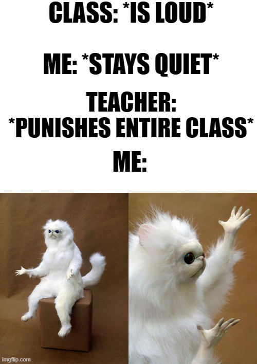 I Think At Least 90% of People Can Relate To This | CLASS: *IS LOUD*; ME: *STAYS QUIET*; TEACHER: *PUNISHES ENTIRE CLASS*; ME: | image tagged in memes,persian cat room guardian,middle school,lmao | made w/ Imgflip meme maker