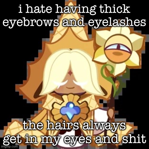 it’s annoying | i hate having thick eyebrows and eyelashes; the hairs always get in my eyes and shit | image tagged in purevanilla | made w/ Imgflip meme maker