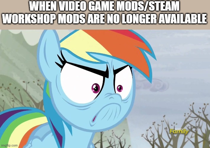 Can't Download Video Game Mods and Steam Workshop Mods | WHEN VIDEO GAME MODS/STEAM WORKSHOP MODS ARE NO LONGER AVAILABLE | image tagged in rainbow dash is looking angry | made w/ Imgflip meme maker