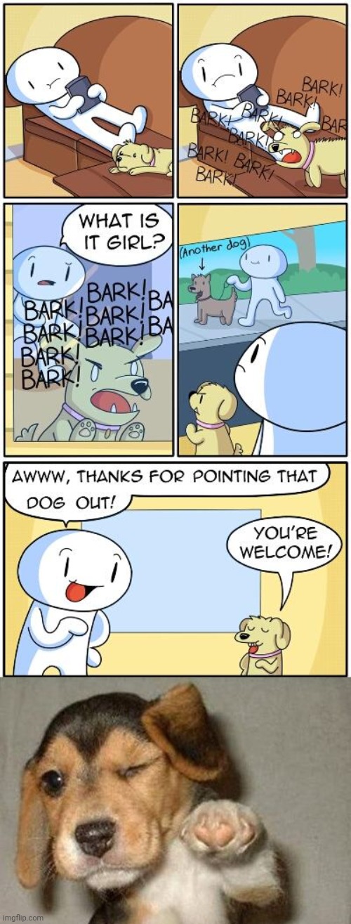 Bark bark bark | image tagged in pointing dog,bark,dogs,comics,comics/cartoons,memes | made w/ Imgflip meme maker