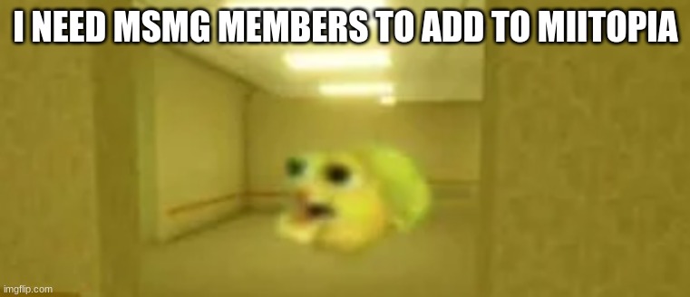 pufferfish in the backrooms | I NEED MSMG MEMBERS TO ADD TO MIITOPIA | image tagged in pufferfish in the backrooms | made w/ Imgflip meme maker