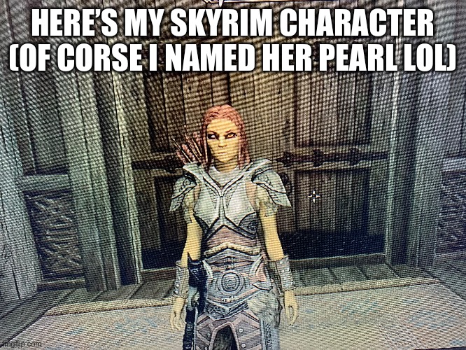 I had to take the picture from my phone because my switch is being a jerkface | HERE’S MY SKYRIM CHARACTER (OF CORSE I NAMED HER PEARL LOL) | made w/ Imgflip meme maker