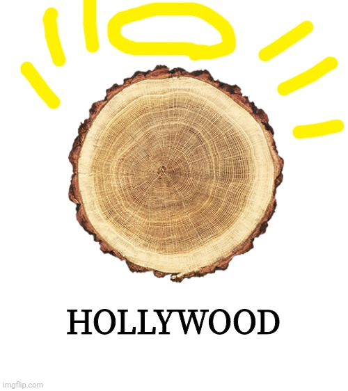 HOLLYWOOD | image tagged in blank white template | made w/ Imgflip meme maker