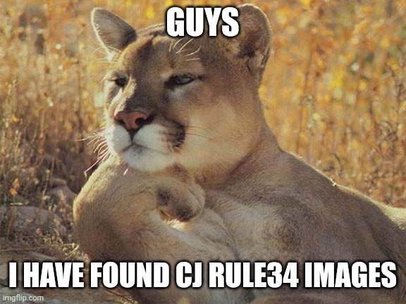 Im horny, Here we go again | GUYS; I HAVE FOUND CJ RULE34 IMAGES | image tagged in thinking cat | made w/ Imgflip meme maker