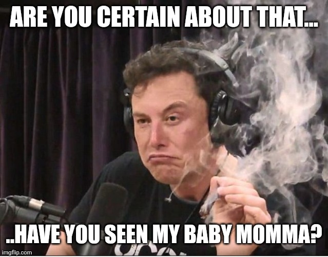 Elon Musk smoking a joint | ARE YOU CERTAIN ABOUT THAT... ..HAVE YOU SEEN MY BABY MOMMA? | image tagged in elon musk smoking a joint | made w/ Imgflip meme maker