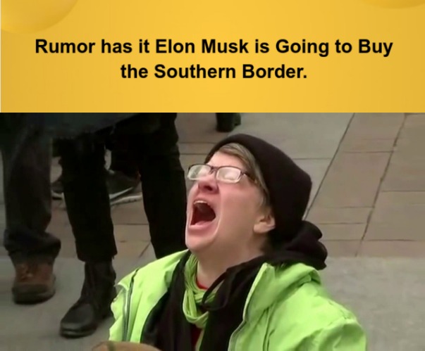 I would gladly pay Tuesday for a Border Today... | image tagged in elon musk,screaming,immigration | made w/ Imgflip meme maker