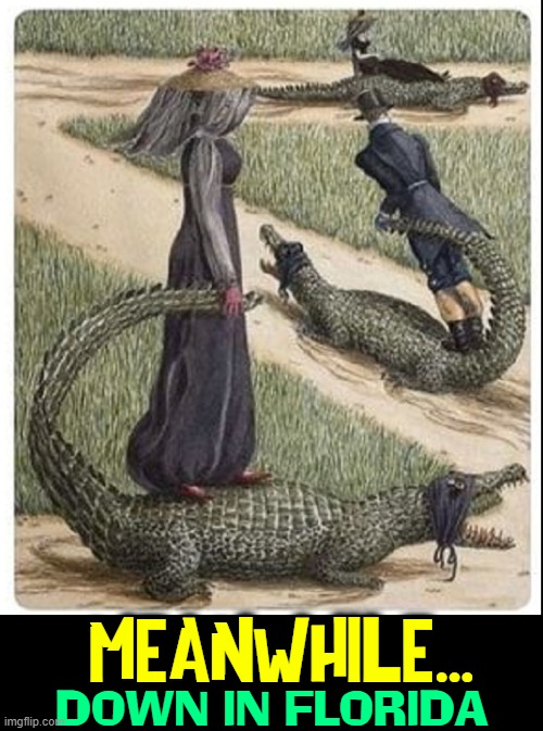 An Advanced Civilization within our own borders |  MEANWHILE... DOWN IN FLORIDA | image tagged in vince vance,well dressed,people,riding,alligators,meanwhile in florida | made w/ Imgflip meme maker