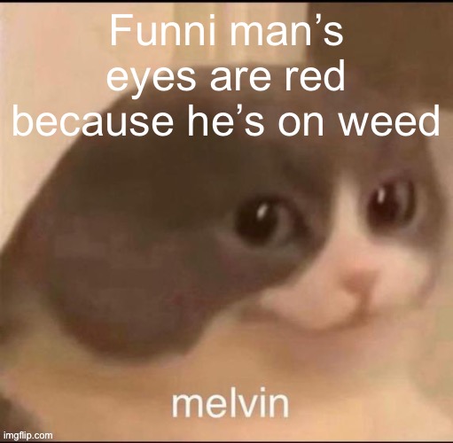 May or may not be true | Funni man’s eyes are red because he’s on weed | image tagged in melvin | made w/ Imgflip meme maker