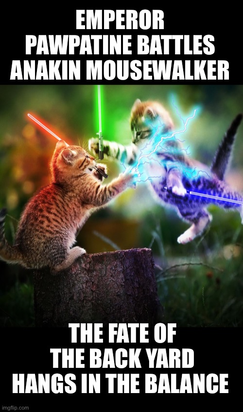 Star Cats |  EMPEROR PAWPATINE BATTLES ANAKIN MOUSEWALKER; THE FATE OF THE BACK YARD
HANGS IN THE BALANCE | image tagged in starwars,funny cats,humor | made w/ Imgflip meme maker