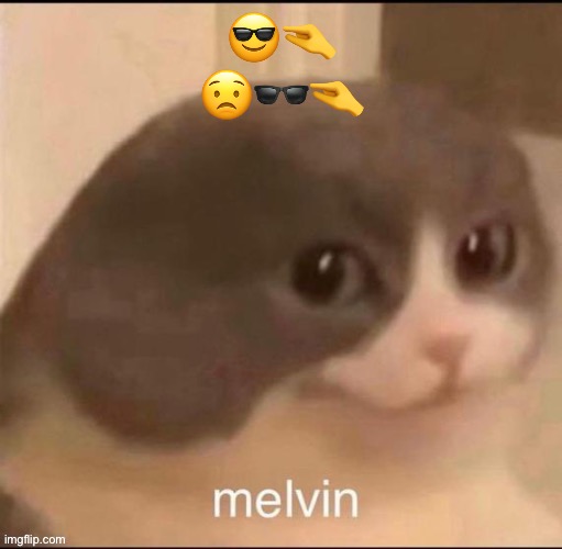 melvuuuuuuuuuuuuuuuuuuuuhhhhhhhhhh | 😎🤏
😟🕶🤏 | image tagged in melvin | made w/ Imgflip meme maker