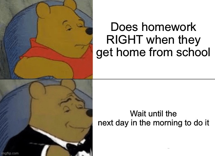:/ | Does homework RIGHT when they get home from school; Wait until the next day in the morning to do it | image tagged in memes,tuxedo winnie the pooh | made w/ Imgflip meme maker