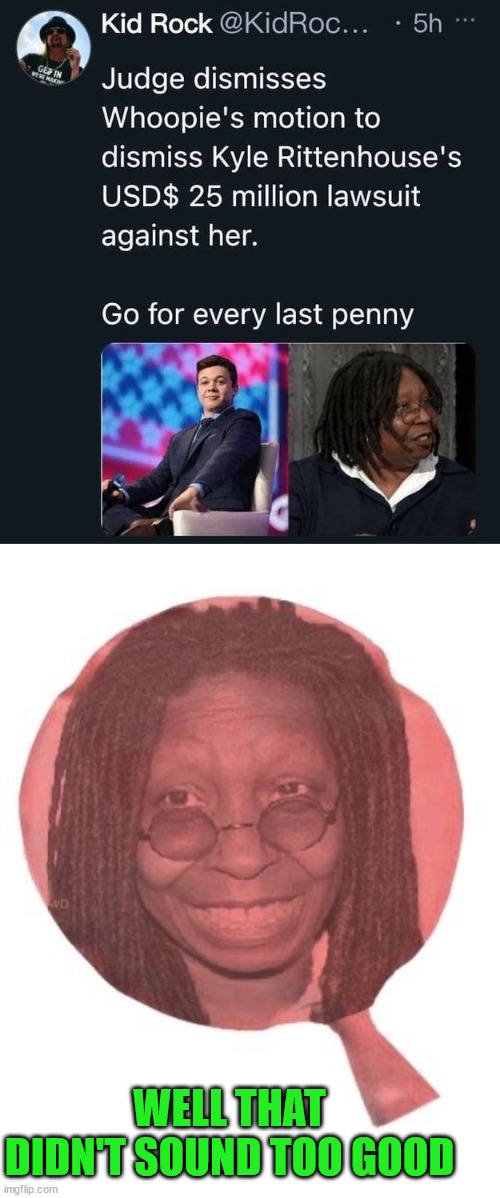 Kyle needs to sue each one of these liars into oblivion. | WELL THAT DIDN'T SOUND TOO GOOD | image tagged in whoopi goldberg,lawsuit | made w/ Imgflip meme maker