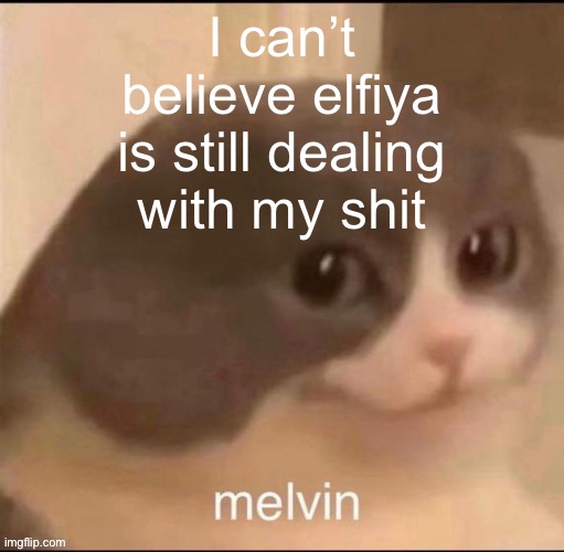 h | I can’t believe elfiya is still dealing with my shit | image tagged in melvin | made w/ Imgflip meme maker