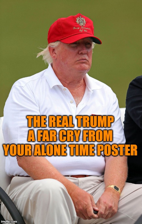 Fat Trumps | THE REAL TRUMP A FAR CRY FROM YOUR ALONE TIME POSTER | image tagged in fat trumps | made w/ Imgflip meme maker