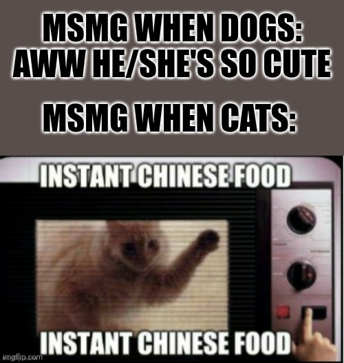 Instant chinese food | MSMG WHEN DOGS: AWW HE/SHE'S SO CUTE; MSMG WHEN CATS: | image tagged in instant chinese food | made w/ Imgflip meme maker