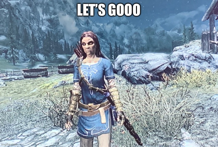 I finally got the Champion’s Tunic and Master Sword | LET’S GOOO | made w/ Imgflip meme maker