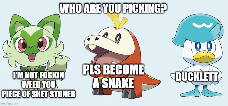 Who are you going to pick? | WHO ARE YOU PICKING? PLS BECOME A SNAKE; I'M NOT FOCKIN WEED YOU PIECE OF SHET STONER; DUCKLETT | image tagged in pokemon scarlet and violet,pokemon | made w/ Imgflip meme maker