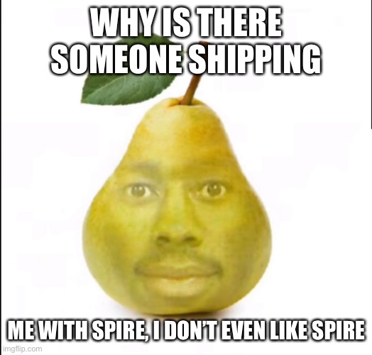 Tyler the creator | WHY IS THERE SOMEONE SHIPPING; ME WITH SPIRE, I DON’T EVEN LIKE SPIRE | image tagged in tyler the creator | made w/ Imgflip meme maker