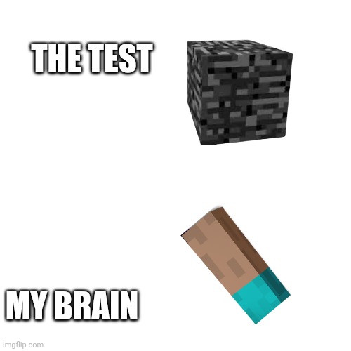 Blank Transparent Square Meme | THE TEST MY BRAIN | image tagged in memes,blank transparent square | made w/ Imgflip meme maker