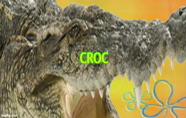  CROC | image tagged in crocs | made w/ Imgflip meme maker