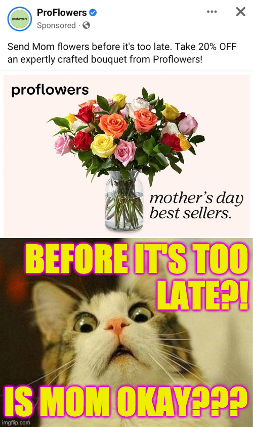 I should've known something was wrong when she started talking to Dad again! |  BEFORE IT'S TOO
LATE?! IS MOM OKAY??? | image tagged in memes,scared cat,before it's too late,mom | made w/ Imgflip meme maker