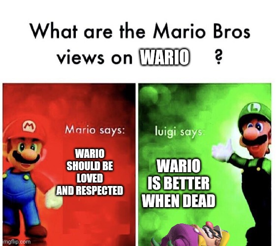 What are the mario bros views on:      ? | WARIO; WARIO SHOULD BE LOVED AND RESPECTED; WARIO IS BETTER WHEN DEAD | image tagged in what are the mario bros views on | made w/ Imgflip meme maker