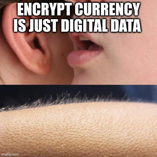 Whisper and Goosebumps |  ENCRYPT CURRENCY IS JUST DIGITAL DATA | image tagged in whisper and goosebumps | made w/ Imgflip meme maker