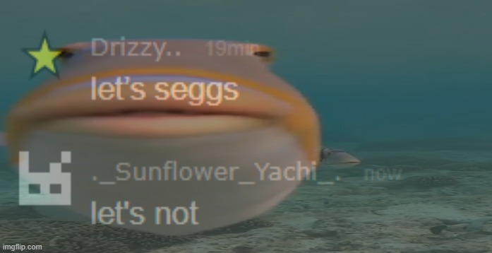 vroom vroom got the pew pew to make things go boom boom | made w/ Imgflip meme maker