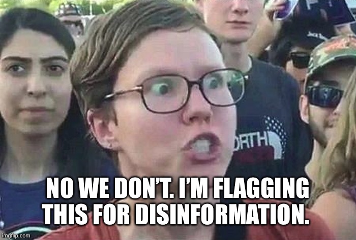 Triggered Liberal | NO WE DON’T. I’M FLAGGING THIS FOR DISINFORMATION. | image tagged in triggered liberal | made w/ Imgflip meme maker