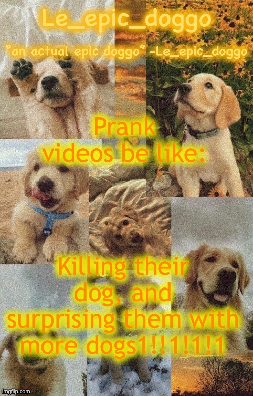 Doggo temp by doggo. Wait what that’s confusing | Prank videos be like:; Killing their dog, and surprising them with more dogs1!!1!1!1 | image tagged in doggo temp by doggo wait what that s confusing | made w/ Imgflip meme maker
