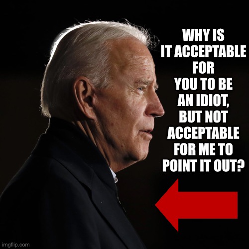 Joe Biden | WHY IS IT ACCEPTABLE FOR YOU TO BE AN IDIOT, BUT NOT ACCEPTABLE FOR ME TO POINT IT OUT? | image tagged in acceptable,idot,point,joe,biden,politics | made w/ Imgflip meme maker