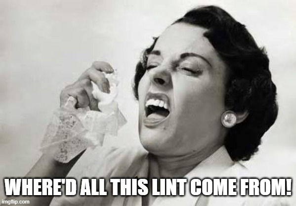 Sneezing  | WHERE'D ALL THIS LINT COME FROM! | image tagged in sneezing | made w/ Imgflip meme maker