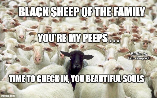 Black Sheep of The Family | BLACK SHEEP OF THE FAMILY; YOU'RE MY PEEPS . . . MEMEs by Dan Campbell; TIME TO CHECK IN, YOU BEAUTIFUL SOULS | image tagged in black sheep of the family | made w/ Imgflip meme maker