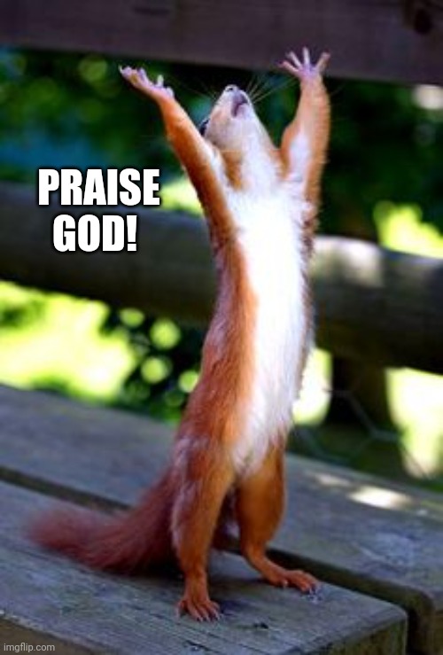 Praise God squirrel | PRAISE GOD! | image tagged in praise god squirrel | made w/ Imgflip meme maker