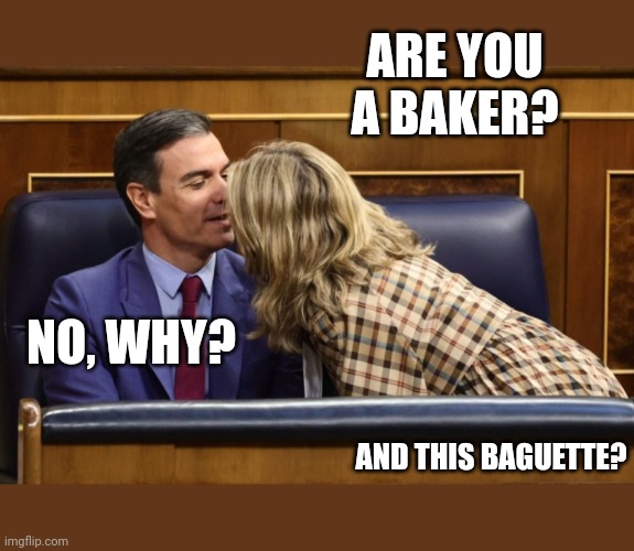 Hard on baguette | ARE YOU A BAKER? NO, WHY? AND THIS BAGUETTE? | image tagged in pedro boner in parliament,baguette,boner | made w/ Imgflip meme maker