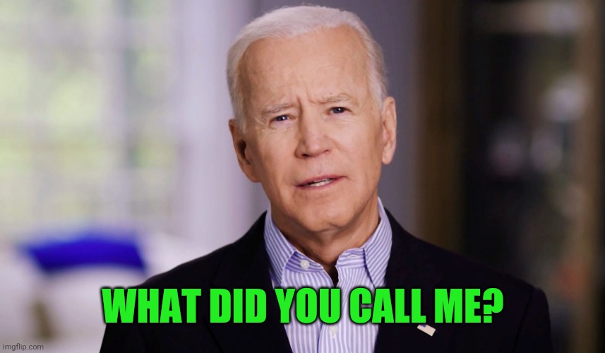Joe Biden 2020 | WHAT DID YOU CALL ME? | image tagged in joe biden 2020 | made w/ Imgflip meme maker