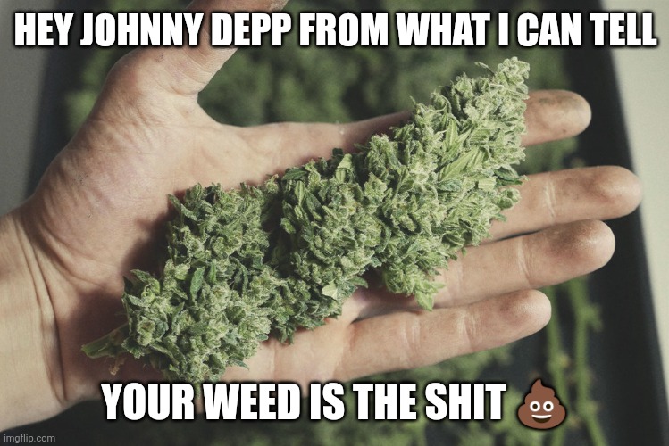 Big Emerald Turd | HEY JOHNNY DEPP FROM WHAT I CAN TELL; YOUR WEED IS THE SHIT 💩 | image tagged in johnny depp,amber heard,cannabis | made w/ Imgflip meme maker