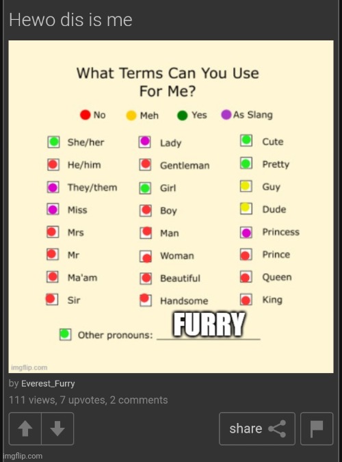furry isn't a dang pronoun | made w/ Imgflip meme maker