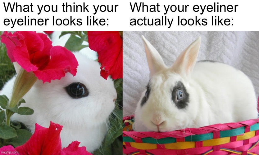 Ngl both bunnies are cute, but you might want to watch a makeup tutorial |  What you think your eyeliner looks like:; What your eyeliner actually looks like: | image tagged in rabbit,makeup,animals | made w/ Imgflip meme maker