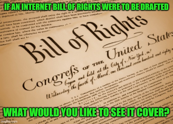 I think this is a topic that desperately needs to be covered these days |  IF AN INTERNET BILL OF RIGHTS WERE TO BE DRAFTED; WHAT WOULD YOU LIKE TO SEE IT COVER? | image tagged in bill of rights | made w/ Imgflip meme maker