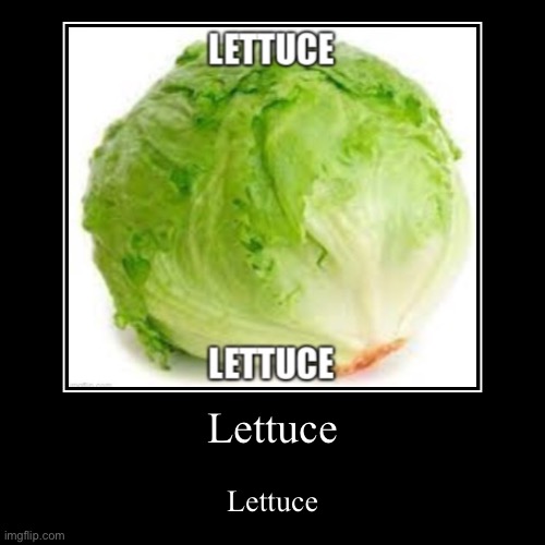 Lettuce | image tagged in funny,demotivationals | made w/ Imgflip demotivational maker