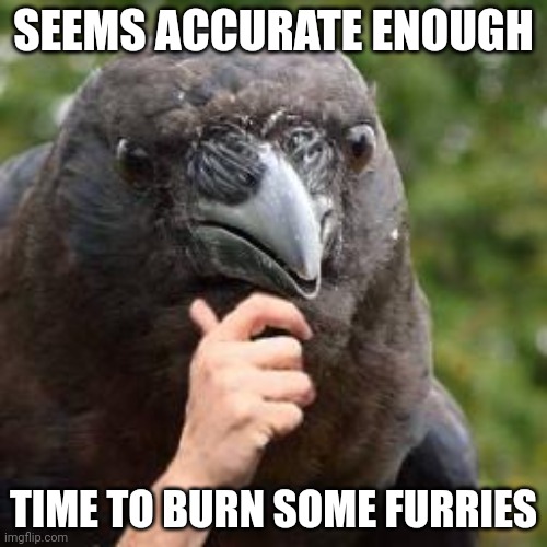Seems Accurate | SEEMS ACCURATE ENOUGH TIME TO BURN SOME FURRIES | image tagged in seems accurate | made w/ Imgflip meme maker