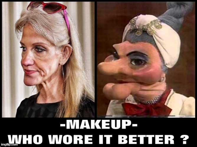 image tagged in kellyanne conway,madame,makeup,puppet,clown car republicans,who wore it better | made w/ Imgflip meme maker