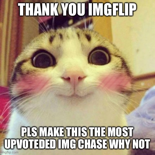 Smiling Cat Meme | THANK YOU IMGFLIP; PLS MAKE THIS THE MOST UPVOTEDED IMG CHASE WHY NOT | image tagged in memes,smiling cat | made w/ Imgflip meme maker