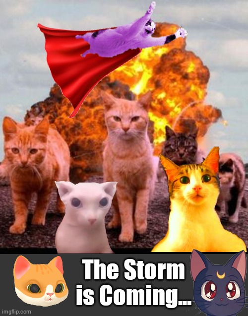 Cat-astrophe | The Storm is Coming... | image tagged in grey blank temp | made w/ Imgflip meme maker