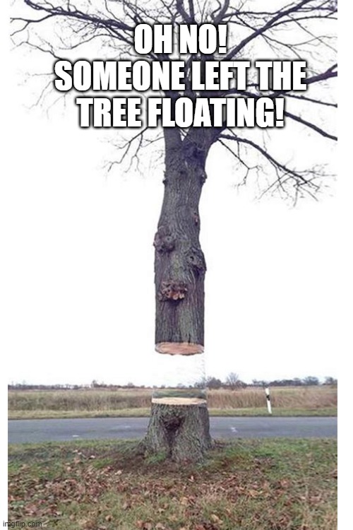 oh no! | OH NO! SOMEONE LEFT THE
TREE FLOATING! | image tagged in blank white template | made w/ Imgflip meme maker